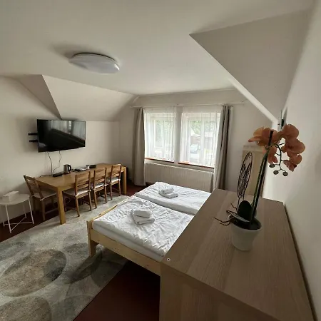 U Kovarny Guest house *