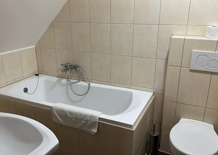 Casa de hóspedes U Kovárny 3*